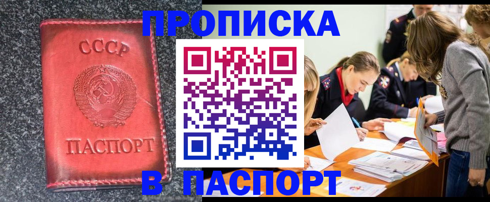прописка для школы в Череповце
